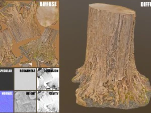 tree stump 3D Model