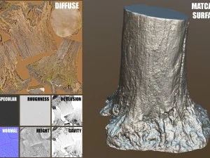 tree stump 3D Model
