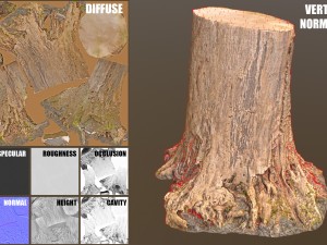 tree stump 3Dモデル
