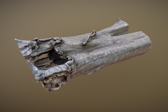 dead tree 3D Model .c4d .max .obj .3ds .fbx .stl .blend 