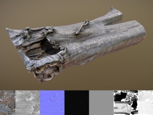 dead tree 3D Model