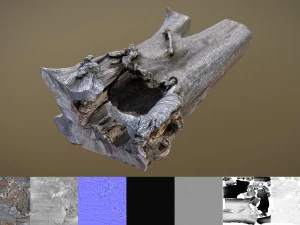 toter Baum 3D Modell