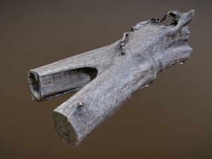 dead tree 3D Model