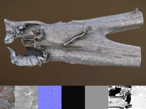 toter Baum 3D Modell