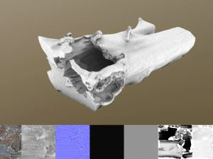 toter Baum 3D Modell