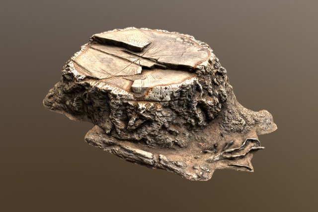stump 3D Модель .c4d .max .obj .3ds .fbx .stl .blend 