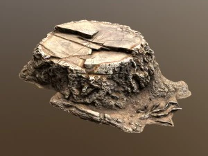 Stumpf 3D Modell