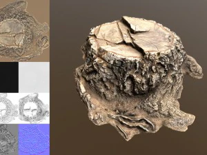 stump 3D Model
