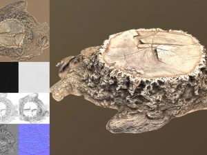 stump 3D Model