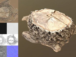 stump 3D Model
