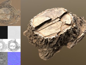 stump 3D Модель