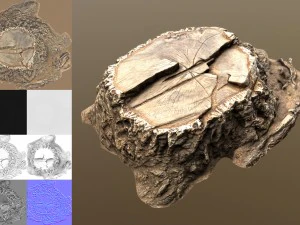 stump 3D Model