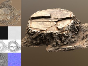 stump 3D Модель