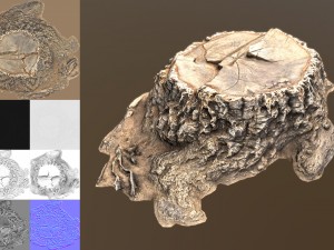 stump 3D Модель