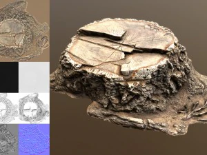 stump 3D Model