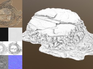 stump 3D Модель