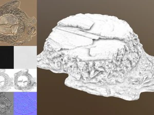 stump 3D Model