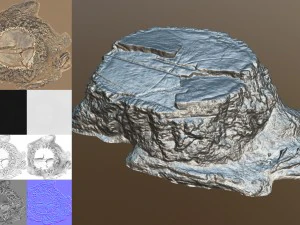 stump 3D Model