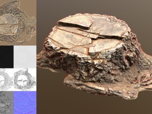 stump 3D Модель
