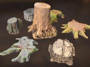 7 tree stumps Modello 3D