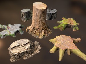 7 tree stumps Modelo 3D
