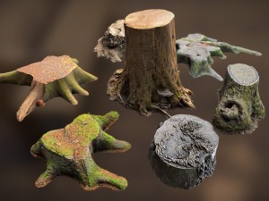 7 tree stumps Modelo 3D