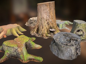 7 tree stumps Modelo 3D