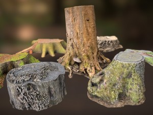 7 tree stumps Modelo 3D