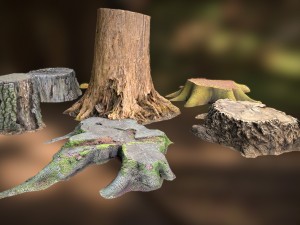 7 tree stumps Modelo 3D