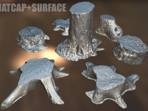7 tree stumps Modelo 3D