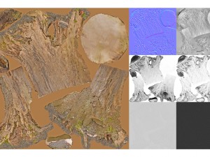 7 tree stumps Modelo 3D