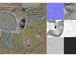 7 tree stumps Modelo 3D