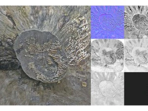 7 tree stumps 3D Model