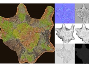 7 tree stumps Modelo 3D