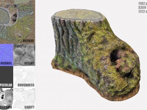 mossy tree stump Modello 3D