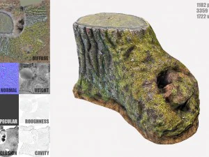 mossy tree stump 3D Model