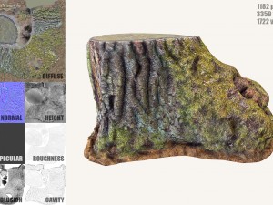 mossy tree stump Modelo 3D