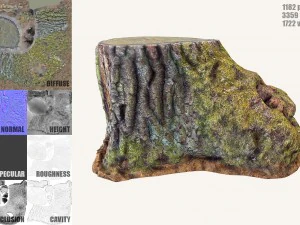 ceppo d'albero muschioso Modello 3D