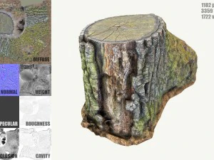 ceppo d'albero muschioso Modello 3D
