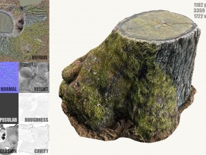 mossy tree stump Modelo 3D