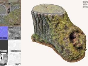 mossy tree stump Modelo 3D