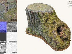 ceppo d'albero muschioso Modello 3D