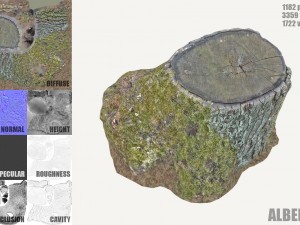 mossy tree stump Modelo 3D