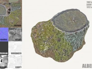 ceppo d'albero muschioso Modello 3D