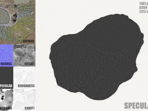ceppo d'albero muschioso Modello 3D