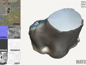 ceppo d'albero muschioso Modello 3D