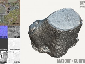 mossy tree stump Modelo 3D