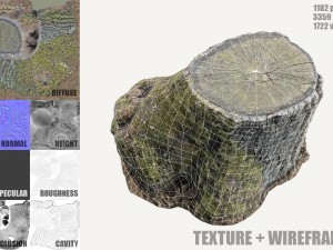 mossy tree stump Modelo 3D
