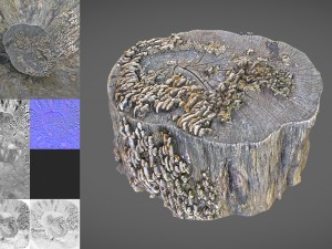 tree stump with mushrooms Modello 3D
