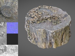 tree stump with mushrooms Modello 3D